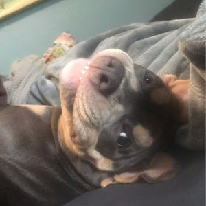 Meet your Posher, Ariana